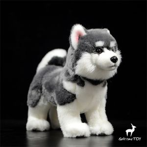 Bonecas de pelúcia Alaskan Malamute Anime Cute Plushie Dog Toys Lifelike Animals Simulation Boneca de pelúcia Kawai Toy Gifts Kids 230711