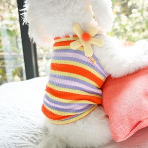 Vestuário para cães Ins Roupas para animais de estimação Roupas para cães Colete quente Camisa Filhote de cachorro Gato Listrado Casaco Animais de estimação Macaron