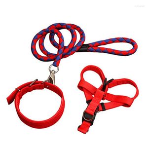 Obroże dla psów Smycz łańcuchowa Duża średnia i mała obroża Teddy Golden Retriever Walking Rope Pet Supplies