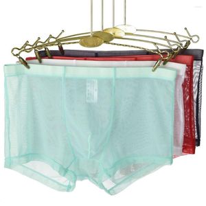 Kalsonger 1st Transparenta boxershortor Män Gay See Through Me Underkläder Man Sexig Låg Sissy Midja Trosor Underkläder Intimates