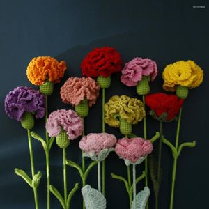 Dekorative Blumen DIY Nelke gestrickte Handsimulation häkeln Muttertagsstrauß Geschenk für Mutter 2023
