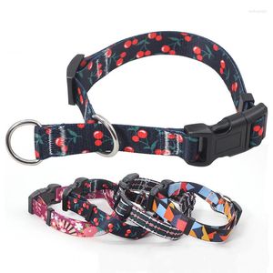 Hundehalsbänder, einziehbare Haustierhalsband-Leine, explosionsgeschütztes P-Farb-Traktionsseil, kleine und mittelgroße Hunde, personalisierbar