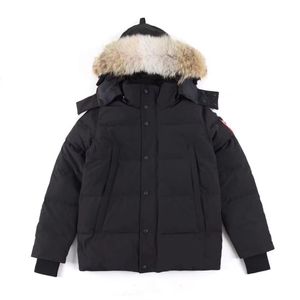 Men's Wyndham Winter Jacket with Down Parka Hood and Fur - Arctic lands end winter coats for Sale in Sweden and Canada (Designer 06)