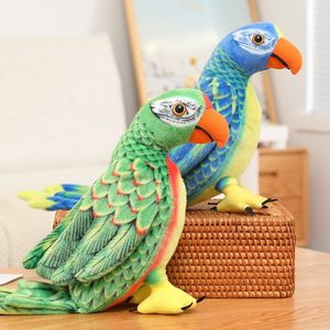 Plush Dolls 26CM Simulation Stuffed Doll Parrot Wild Animals Birds for Children Toy Decoration 230711