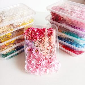 Dried Flowers DIY Flower Plant For Making Phone Case Candles Handmade Crafts Epoxy Resin Pendant Necklace Jewelry Box Petals 230711