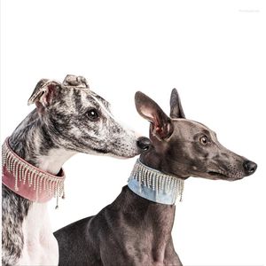 Köpek yakaları saf el yapımı flaş yakalı tam elmas kolye Whitbit Greyhound mücevherli aksesuarlar yürüyüş