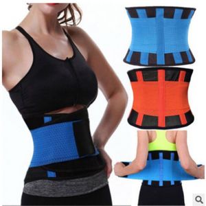 Fast Ship Women And Men Adjustable Elstiac Waist Support Belt Neoprene Faja Lumbar Back Sweat Belt Fitness Belt Waist Trainer