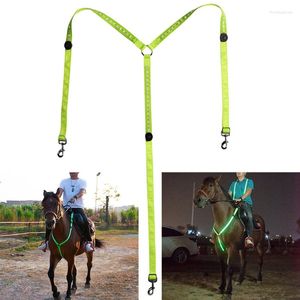 Coleiras para cães com peitoral de cavalo de LED, luz verde, freio de cabeçada de alta visibilidade, aderência para passeios a cavalo noturnos, dropship luminoso