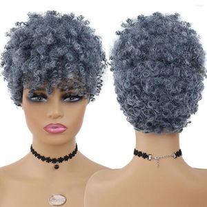 Synthetic Wigs GNIMEGIL Short Afro Curly Wig Grey Hair For Black Women Daily Cosplay Halloween Party Use Fluffy And Elastic Hairstyle