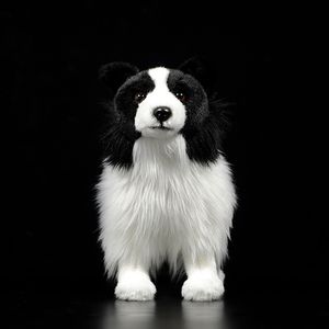 Plyschdockor 25 cm Real Life Border Collie Hund Mjukdjur Realistisk Långhårig Svart Hund Plyschleksaker Valp Gosedjur Leksak Presenter 230711