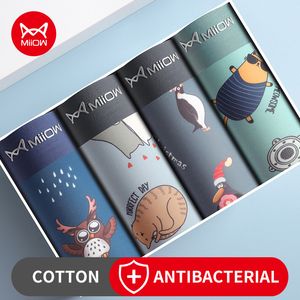 UNDUPTS MIIOW 4pcs Hayvan Baskı Erkekleri İç Çamaşır Boksör Şort Gençlik Pamuk Erkekler Boksörler Nefes Alabilir Damgül Çamaşırı Erkek Panties 230711