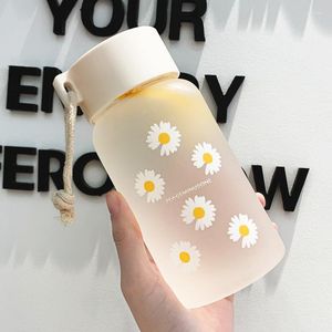 Water Bottles 500ml Small Daisy Kawaii Bottle Transparent Plastic Leakproof Items Sports Brief