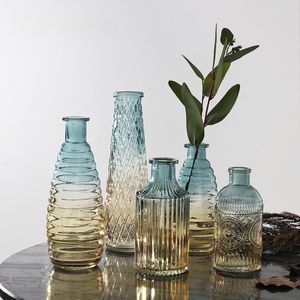 Vazolar hidroponik nordic cam vazo estetik dekorasyon modern uzun boylu tasarım şeffaf floreros lüks ev dekor wk50hp