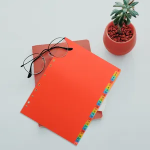 Plates A4 Index Divider Color Folders Classification Tabs Perforation School Binder Dividers Pvc Office Page