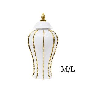 Storage Bottles Chinese Porcelain Ginger Jar Decorative Accessories Crafts Ornaments Centerpieces Ceramic Vase For Tank