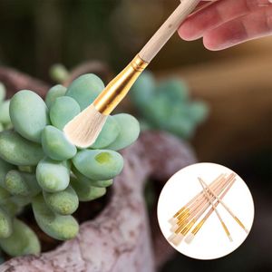 Decorative Flowers 8 Pcs Food Oil Pollinator Self Pollination Rug Outdoor Powder Duster Sprayer Peach Tree Face Kit