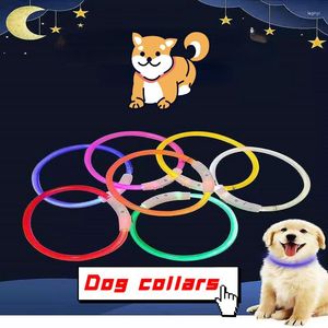 Dog Collars Pet Collar USB Charging Glow Nightlight LED Ring Chain Jewelry Spot Wholesale Fluorescence