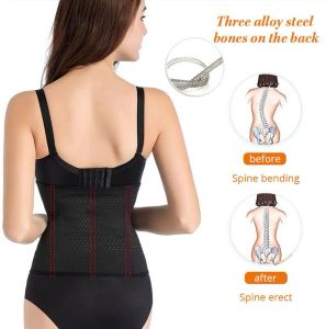 Epack Shaper per allenatore in vita Cintura dimagrante Sexy corsetto per allenatore in vita cinturino per modellare il corpo Cintura corsetto dimagrante S-6XL