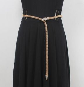 Cintos femininos moda passarela metal cobra cummerbunds vestido feminino espartilhos cós decoração cinto estreito R2310