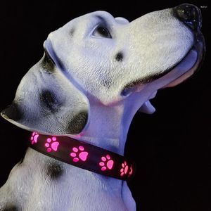 Hundehalsbänder liefert Haustierzubehör, Leine und Produkte – 7 Farben in 1