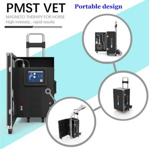 PEMF Physio Magneto VET Machine pour les thérapies de traitement des chevaux réhabilitant et blessés