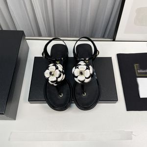 العلامة التجارية الفاخرة Camellia Womens Flat Heel Sandals Summer Sexy Sexy Leather Leather Buckle Shoes Size 35-42