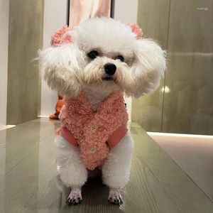Odzież dla psów jesień i zimowy jagnięce aksamitne płaszcz słodka niedźwiedź sukienka dla zwierząt misie bawełniane kot