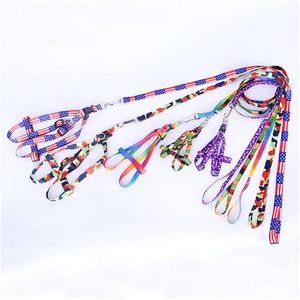 Collari per cani Guinzagli Forniture per animali all'ingrosso Accessori Stampa Nylon regolabile Guinzaglio per animali domestici Cucciolo di gatto Collana Collare per cravatta in corda Dlyo