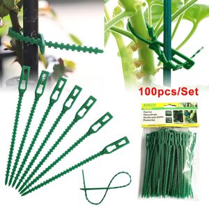 Clip di supporto per piante in plastica riutilizzabili da 13 cm Morsetti per piante da appendere Vite Giardino Serra Verdure Pomodori Clip
