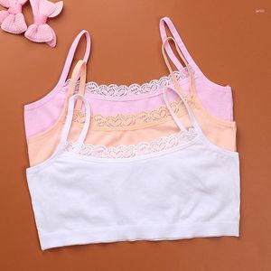 Camisoles Tanks Teenage Girls Cotton Bra Solid Color Студент -нижняя часть