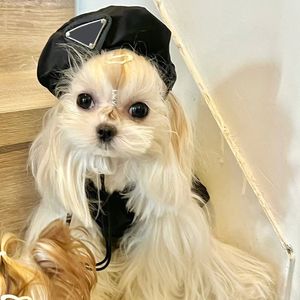 Fashionable Cute Dog Dresses Beret Set French Bulldog Schnauzer Teddy Pet Cat Dog Nylon Soft Dresses
