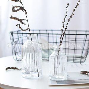 Vasos Simples Vidro Transparente Vaso Pequeno Decoração Nórdica Sala Flor Casa Para Flores Garrafa