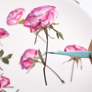 Flores decorativas grandes amostras de rosas secas prensadas para colar brinco faça você mesmo material feito à mão 1 lote/60 pçs