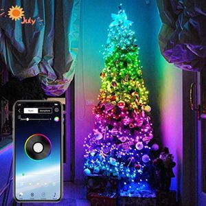 Decorazioni natalizie Luce a led scintillante per la decorazione dell'albero Luci a corda App Telecomando Casa Indoor260D