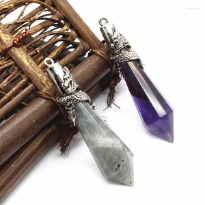 Pendant Necklaces Amulet Dragon Natural Stone Crystal For Women Men Multifaceted Healing Point Labradorite Lapis Amethysts Pendulum Energy