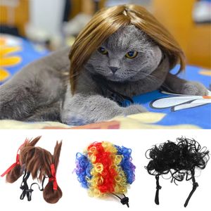 Costumi per gatti Interessanti Accessori per capelli per cuccioli Parrucca per animali domestici per gatti Cani di piccola taglia Gattino Cosplay Cappello Vestito Festa Halloween katzen zubehr 230714