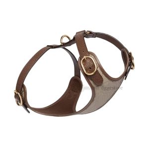 Designer Dog Harness Leash Set with Poop Bag discenser Luxury Style耐久性のある調整可能な革のペットカラー小さな中程度の犬のクラシックレターパターンSB159