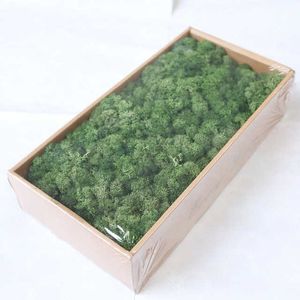 Cinzeiros Preservados Moss Decoração de Parede Musgo Preservado Real Sem Manutenção Necessária Musgo Preservado Naturalmente Casa Parede Festivais Festivais Artesanato x0627