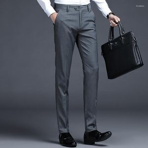 Men's Pants European And American Four Seasons Western Business Dress Drop Feel Casual Straight Leg