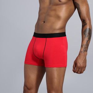 속옷 면화 속옷 남자 팬티 안락 권투 선수 짧은 베스트 homme boxers 섹시한 knickers male