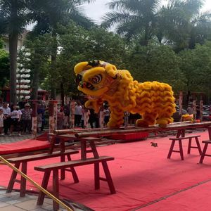 Dorosły południowo-lwy taniec zwierzęcy z maskotem Mascot Performing Oriental Fancy Dress-RPG-RPLEING COURNIVAT CORTIME RAVE PlayGrou267L