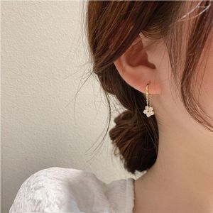 Ciondola gli orecchini moda coreana nappa personalizzata fiore orecchino fibbia femminile cento fiammifero gioielli temperamento regalo all'ingrosso