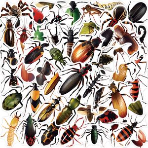 50pcs coole Insektenaufkleber Lustige Tier Spinnen Ladybug Graffiti Aufkleber Kinder Spielzeug Skateboardauto Motorradfahrradaufkleber Aufkleber Abziehbilder Großhandel Großhandel