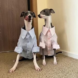 Dog Apparel Italian Greyhound Clothes Shirts Whippet Summer Striped Puppy Big 230717