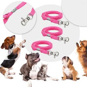 Hundhalsar Pet Grooming Loops Fixed Cat Leash Leads Nylon återhållsamhet