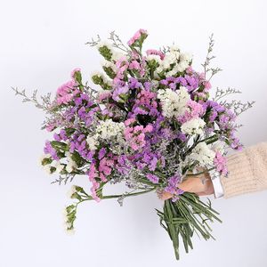 Flores Secas Natural Forget Me Not Flower Fall Fall Home Decor Varanda Fresh Bouquet Jardim Casamento Banco Materiais Decorativos 230717