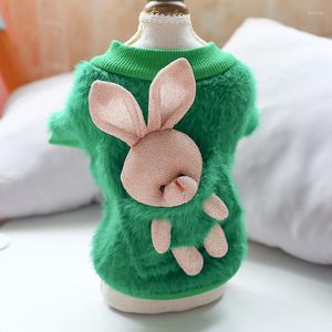 Dog Apparel Funny Back Design Luxury Furr Clothes Winter Plush Puppy Hoodie Pullover Coat For Small Dogs Chihuahua York Sweatshirt