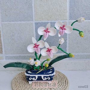 Blocks Creative Potted Plants Building Blocks Orchid Bonsai Mini Blocks Toys Flower Bricks Toys for Children Adult Desktop Decoration R230718