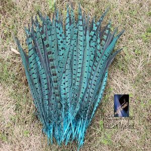 100pcsロット12-14inchターコイズリングネックキジ尾羽costume feather feather feather for Craft174r