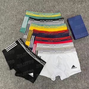 Cuecas boxers estampadas de algodão cuecas masculinas de grife macias respiráveis cuecas masculinas roupas íntimas sexy cores misturadas